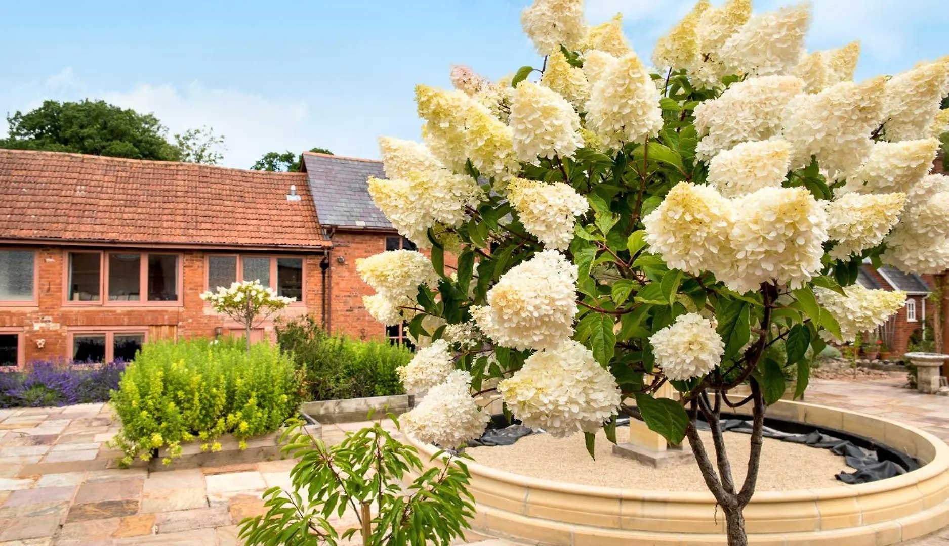 Ivy Cottage 엑서터